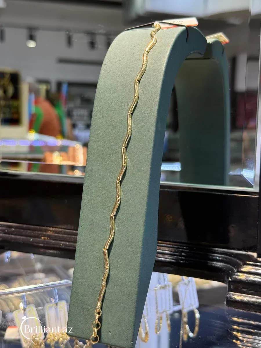 Lost Snakes